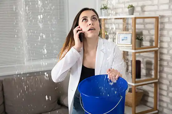 water damage restoration service Wellington Forest